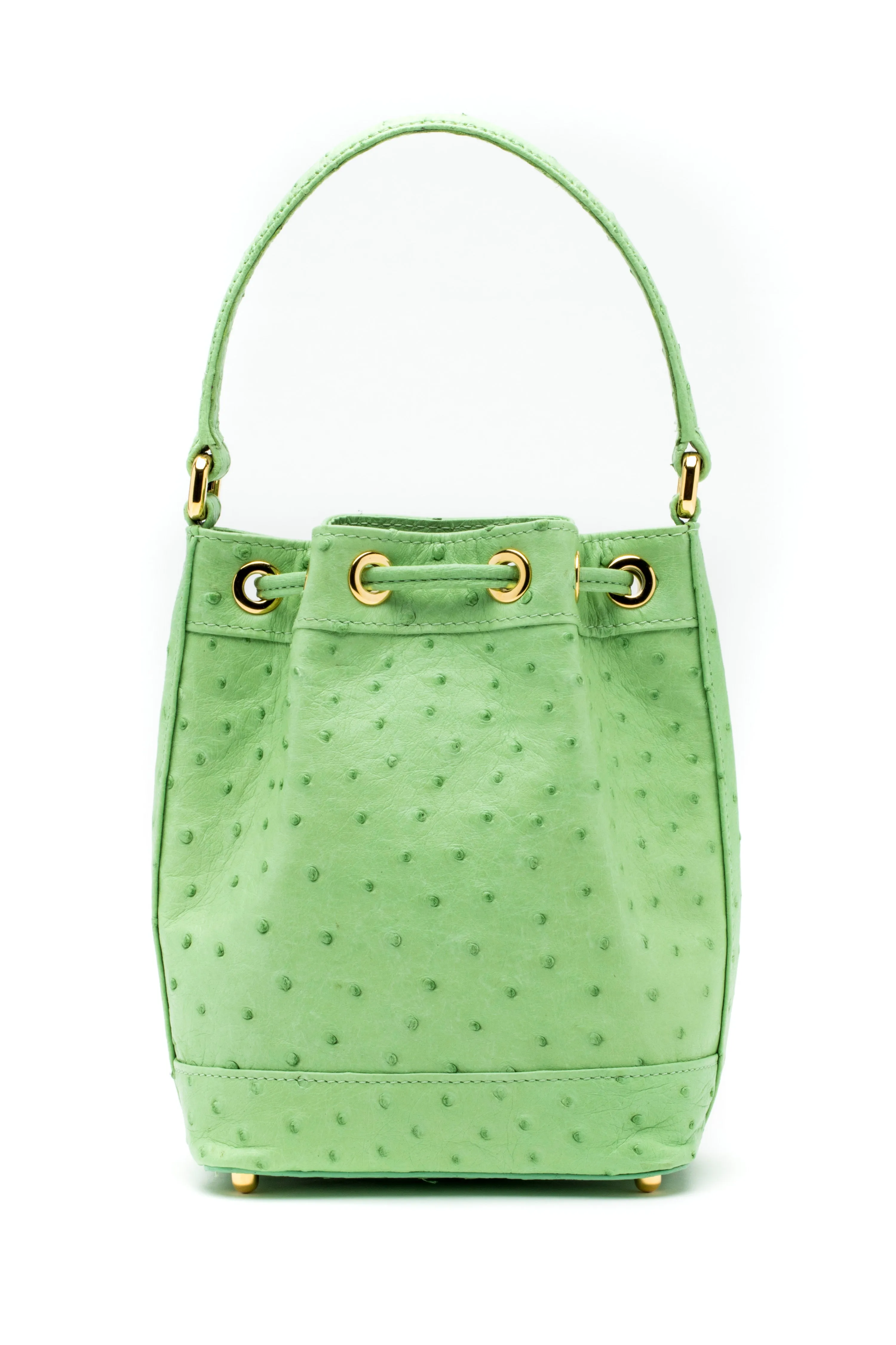 Petite Isla Tote in Lime Ostrich