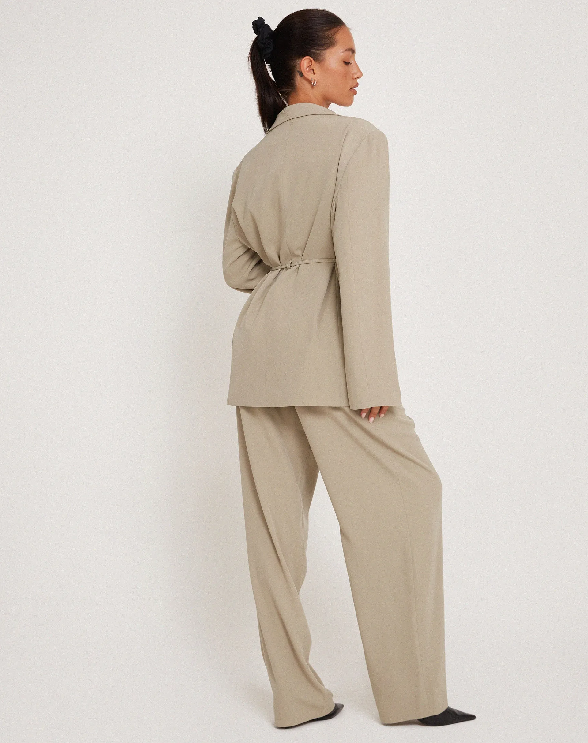 Sabria Trouser in Tailoring Taupe