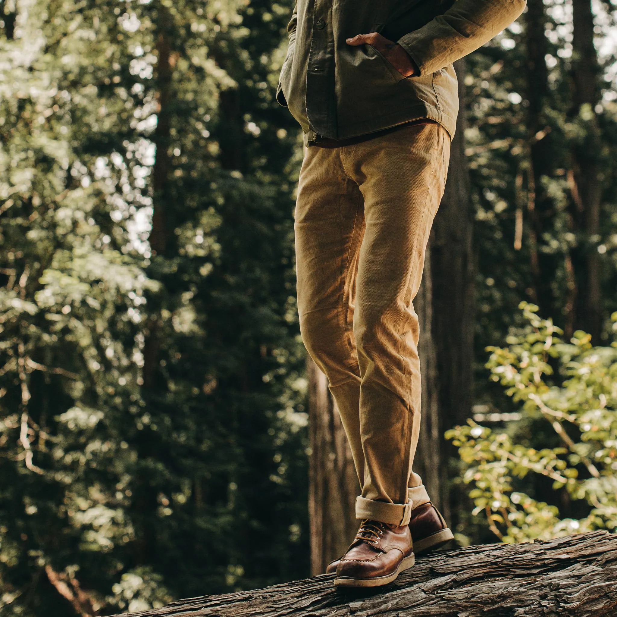 The Slim All Day Pant in British Khaki Cord